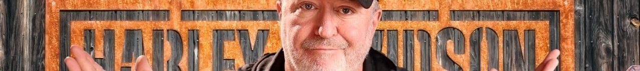 Harley Davidson Blinkers