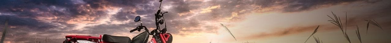 Why I Have Faith in God and Not Evolution: You Asked, This is My Answer