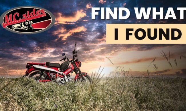 Why I Have Faith in God and Not Evolution: You Asked, This is My Answer